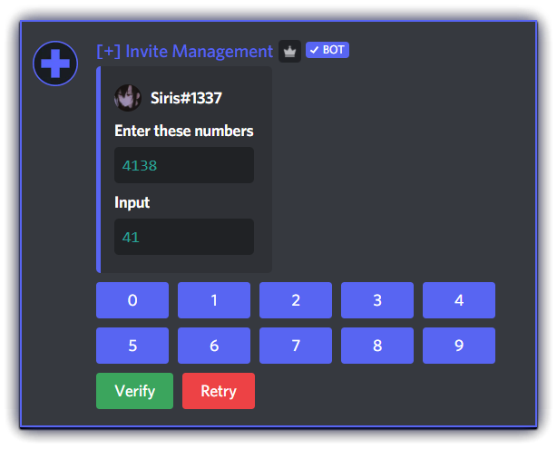 Advanced verification system